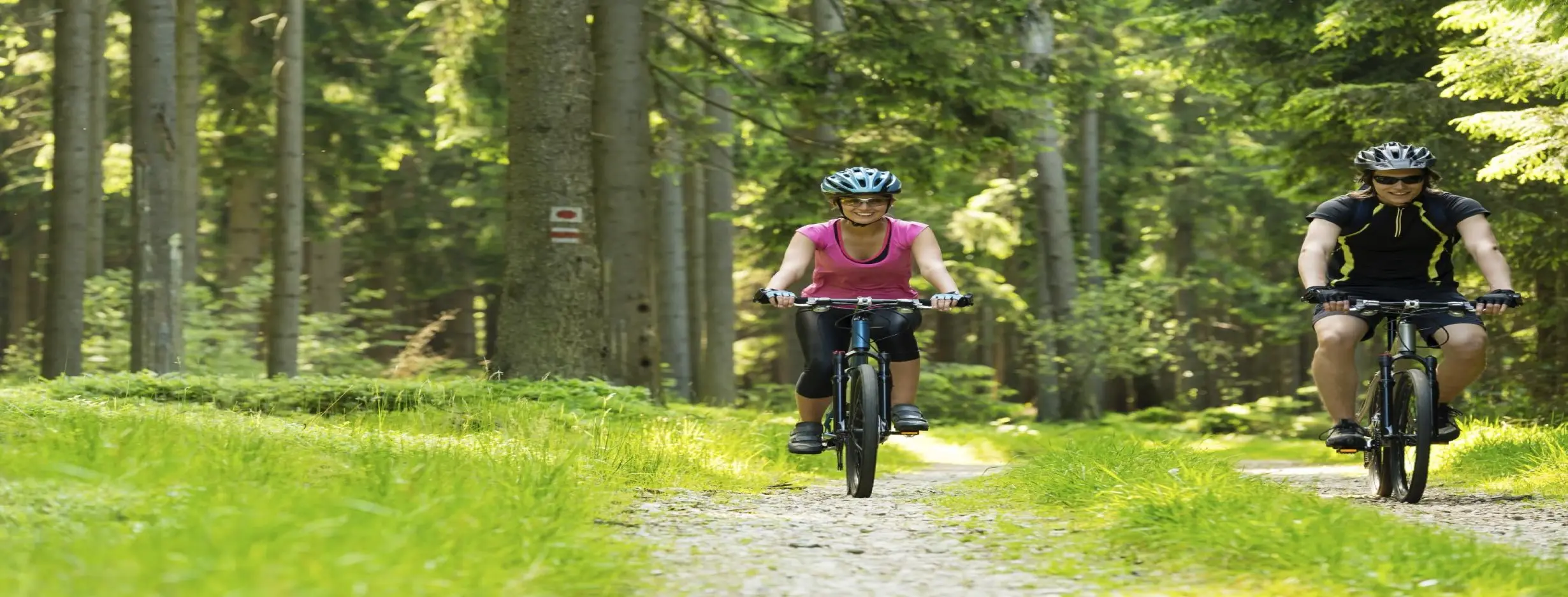Image for Cycling Excursion
